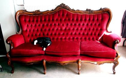 An image of the sofa in our office.