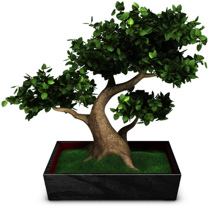 An image of a bonsai tree (final render)