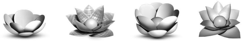 An image of quick 3D renders of lotus flowers.